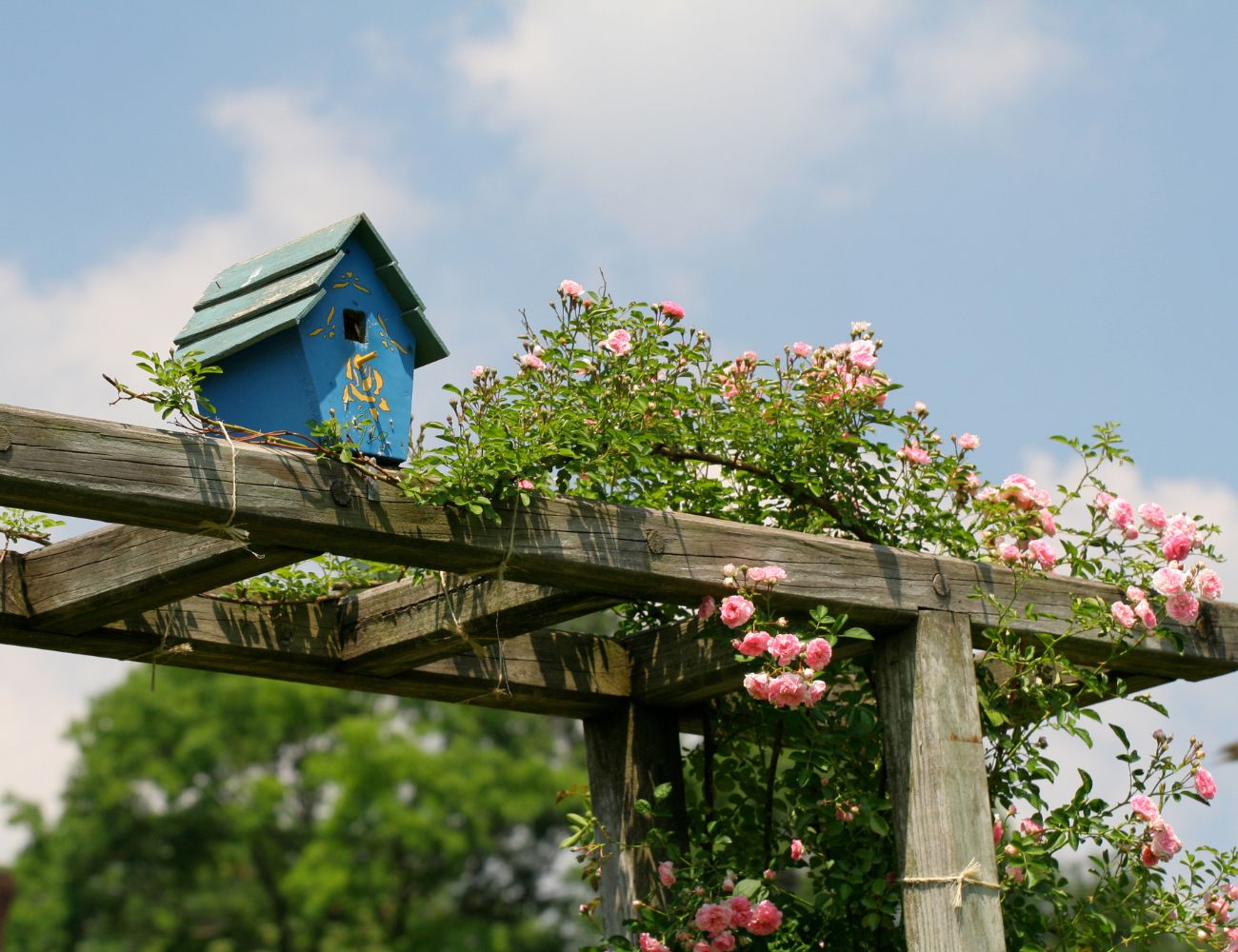 Ideen für kleine Vorgärten-2